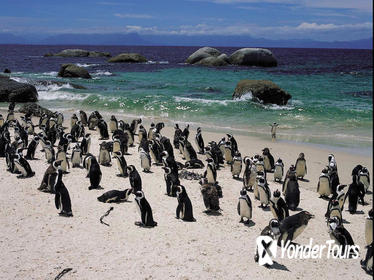 15-Day Picturesque South Africa Journey from Cape Town 15-Day Picturesque South Africa Journey from Cape Town