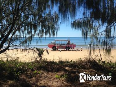 1770 Coastline Tour by LARC Amphibious Vehicle Including Picnic Lunch