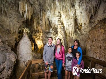 1-Hour Guided Aranui Cave Tour 1-Hour Guided Aranui Cave Tour