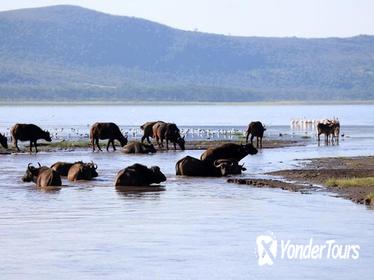 2 Day Tour Lake Nakuru Hells Gate and Lake Naivasha From Nairobi