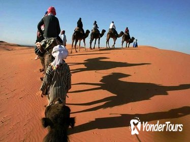 2 DAYS PRIVATE TOUR TO ZAGORA DESERT FROM MARRAKECH