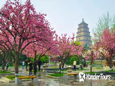2 Days Xian Small Group Tour: Terracotta Army and City Sightseeing