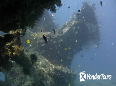 2 PADI Certified Dives at Tulamben from Bali