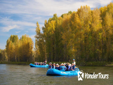 21-Mile Combo: Snake River-Scenic and Whitewater Trip