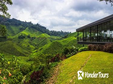 2D1N Cameron Highlands and Nature Tour with visit to Strawberry Park - Rose Garden - Tea Plantation