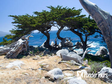 2-Day Monterey, Carmel and 17-Mile Drive from San Francisco