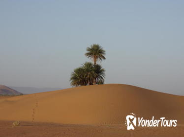 2-Day Private Tour in the Desert of Zagora from Marrakech