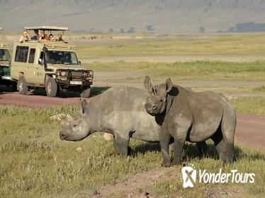 2-Day Short Safari to Tarangire and Ngorongoro Crater