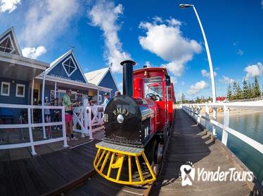 2-hour Busselton Jetty Package: Jetty train and Underwater Observatory