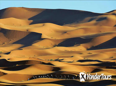 2-Night Merzouga Desert Tour from Marrakech including Camel Ride and Desert Camp