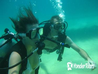 2-Tank Dive in the Cabo San Lucas Marine Preserve