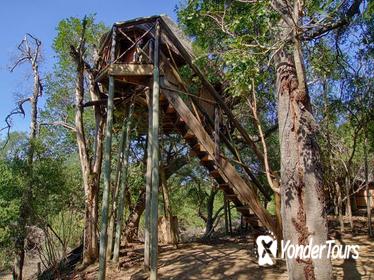 3 Day Lodge and Treehouse Kruger National Park Safari