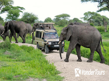 3 days - Wildebeests Safari to Tarangire NP Ndutu Area Olduvai and Ngorongoro Crater