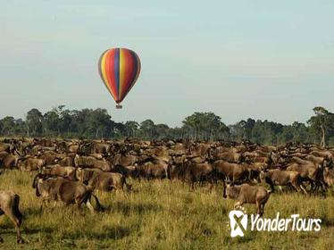 3 Days 2 Nights Masai Mara Joining Safari From Nairobi