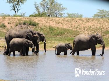 3 Days Kruger National Park Overnight Safaris