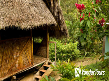 3-Day Iquitos Amazon Jungle Adventure at Ceiba Tops Luxury Lodge