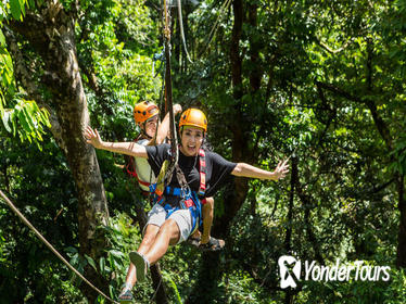 3-Day Rainforest and Reef: Cape Tribulation, Daintree Rainforest, Reef Safari