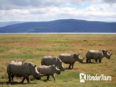 3-Day Safari: Masai Mara