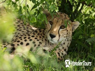 3-Day Samburu Luxury Safari