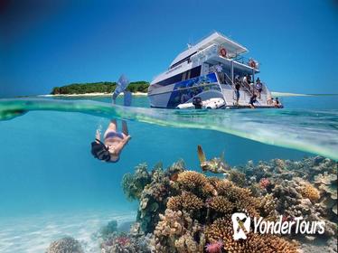 3-Day Southern Great Barrier Reef Tour Including Lady Musgrave Island