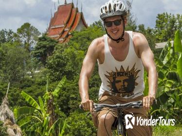 3-Day Tour Exploring the Golden Triangle by Bike