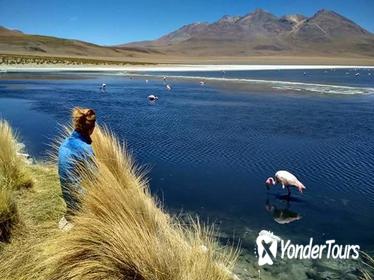 3-Day, 2-Night Uyuni Salt Flats with English Guide, Shared Tour from Uyuni