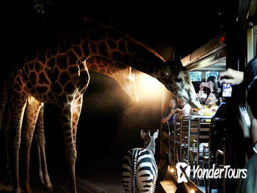 3-Hour Chiang Mai Night Safari