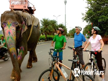 3-Hour Morning Bike Tour of Jaipur