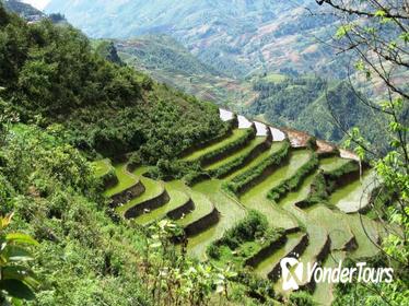 3-Night Sapa Trekking Tour from Hanoi