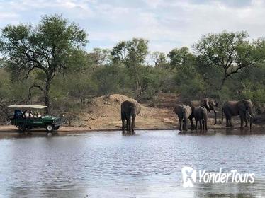 4 Day Budget Kruger National Park Safari