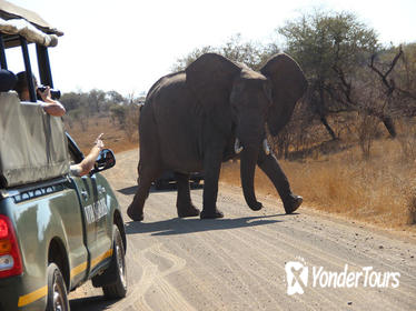 4 Day Classic Kruger National Park Safari