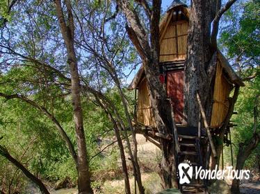 4 Day Lodge and Treehouse Kruger National Park Safari