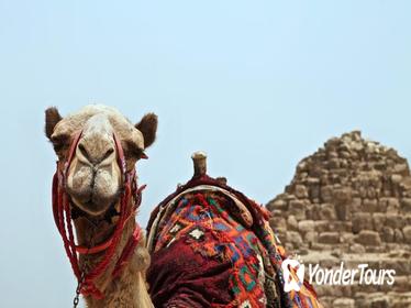 4 Days Cairo Stop Over With a Private Guide 4 Days Cairo Stop Over With a Private Guide