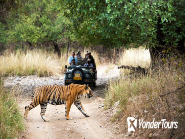 4 Days Fort-Palace-Tiger-Taj Mahal Tour-Jaipur-Ranthambore-Agra