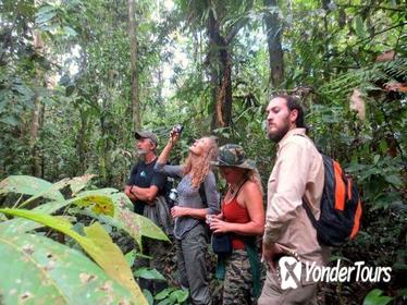 4-Day Amazon Wildlife Adventure in Pacaya-Samiria Reserve from Iquitos, Peru