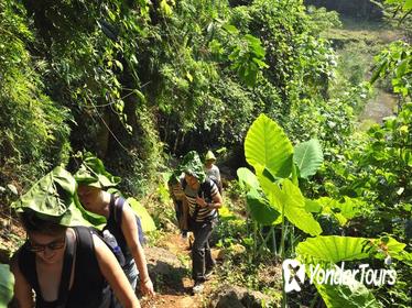 4-Day Ba Be National Park Trekking Tour from Hanoi