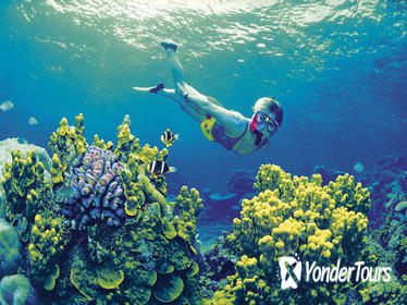 4-Day Cairns and Great Barrier Reef Tour