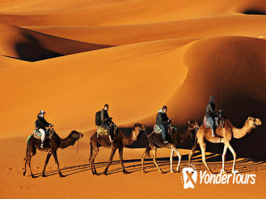 4-Day Fez to Marrakech Small-Group Desert Tour