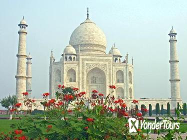 4-Day Independent Golden Triangle Tour of Agra, Fatehpur Sikri and Jaipur from Delhi with Private Car