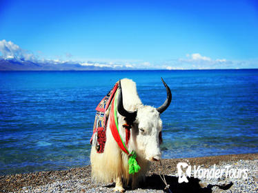 4-Day Lhasa and Lake Namtso Private Tour 4-Day Lhasa and Lake Namtso Private Tour