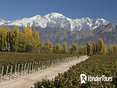 4-Day Trip to Mendoza by Air from Buenos Aires