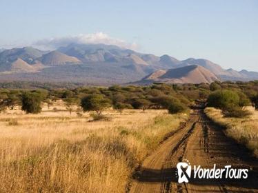 4-Day Tsavo West, Tsavo East and Amboseli Safari from Nairobi