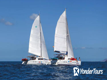 4-Hour Sailing Tour of Lobos Island from Fuerteventura