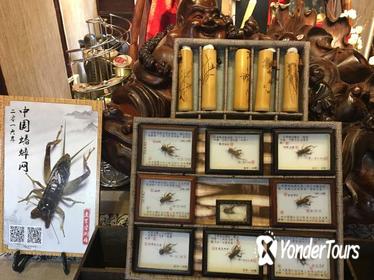 4-Hour Shanghai Old Town Tour with Cricket Fighting Culture Experience 4-Hour Shanghai Old Town Tour with Cricket Fighting Culture Experience