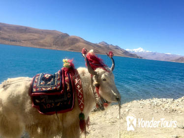 4-Night Lhasa and Lake Yamdrok Explorer Tour 4-Night Lhasa and Lake Yamdrok Explorer Tour