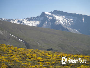 4WD Sierra Nevada Safari Tour in Granada