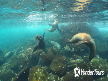 5 Day Classic Galapagos Island Hop 5 Day Classic Galapagos Island Hop
