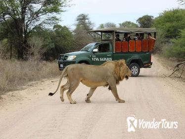 5 Day Classic Kruger National Park Safari