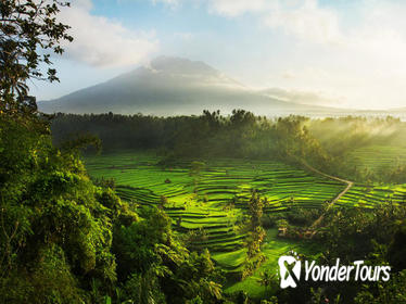 5 Days 4 Nights East Bali Delights (Standard)