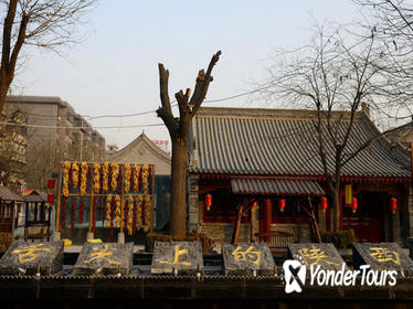 5 Days Xian Food and Culture Tour Combo Package